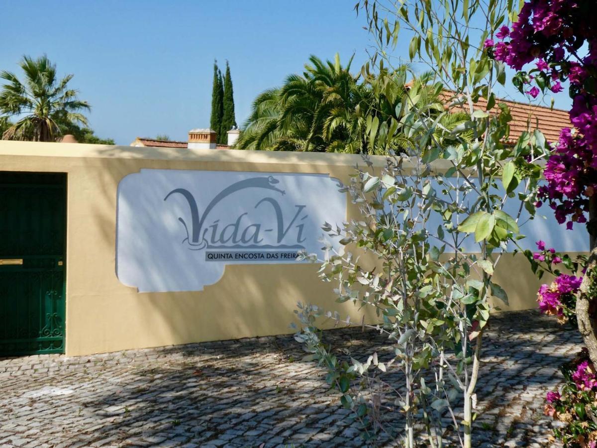 Vida-Vi, Country House And B&B Carvalhal Bemfeito Екстер'єр фото